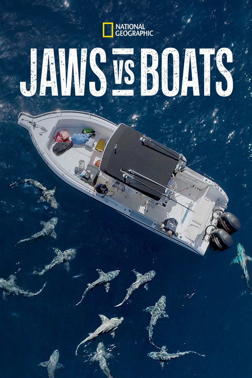 Poster von Hai vs. Boot