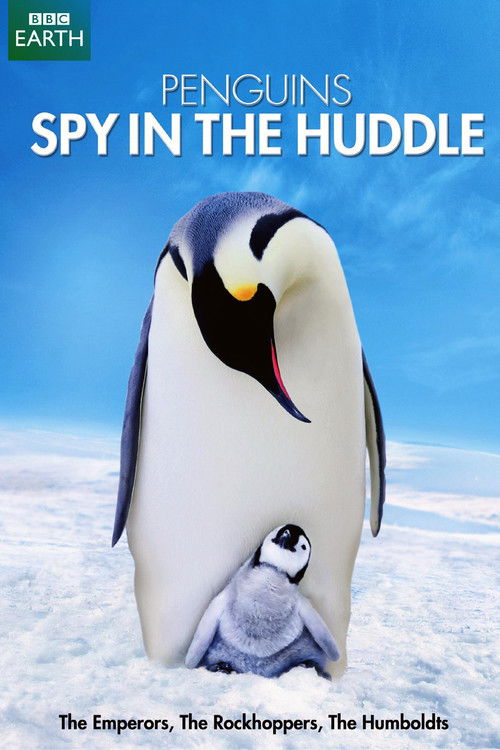 Penguins: Spy in the Huddle
