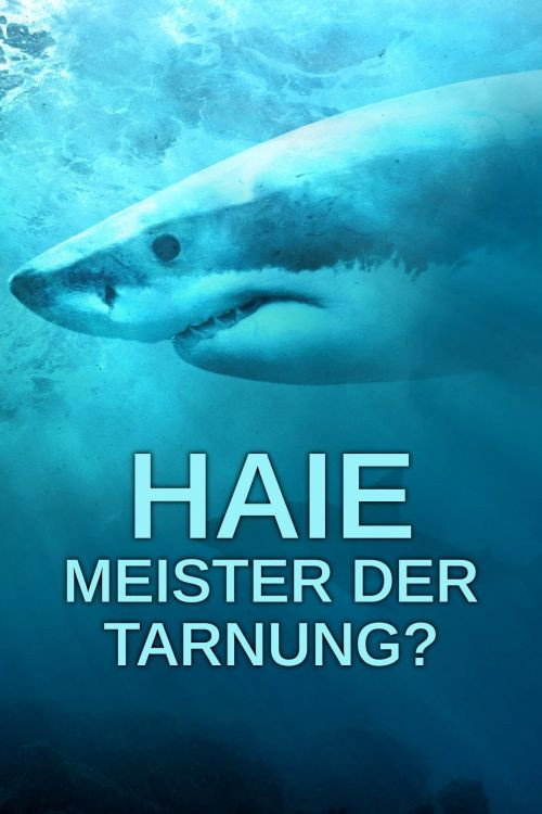 Poster von Haie: Meister der Tarnung?