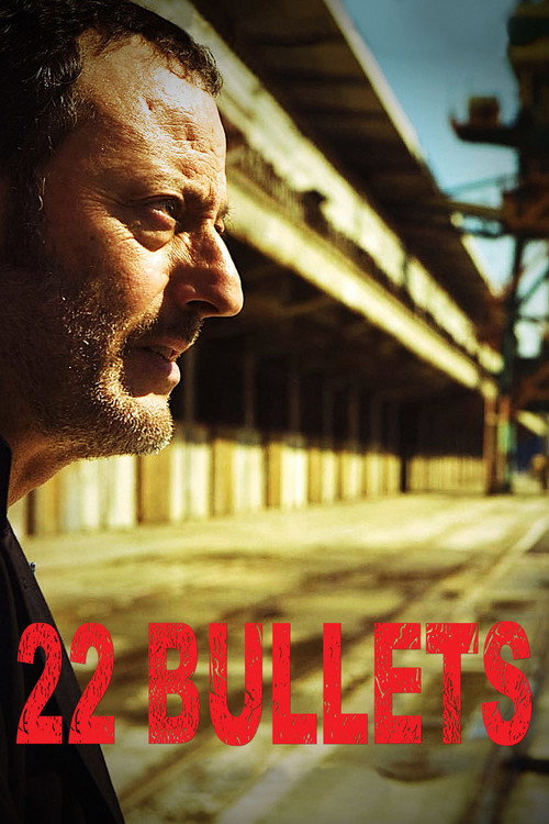 Poster von 22 Bullets