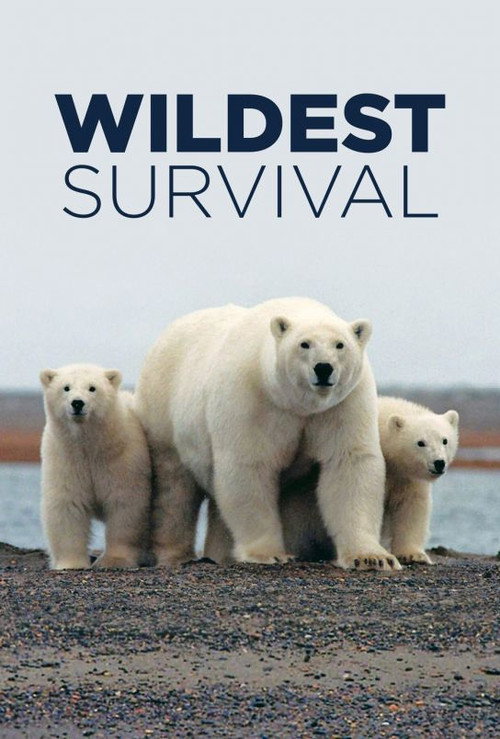 Poster for Wildest Survival