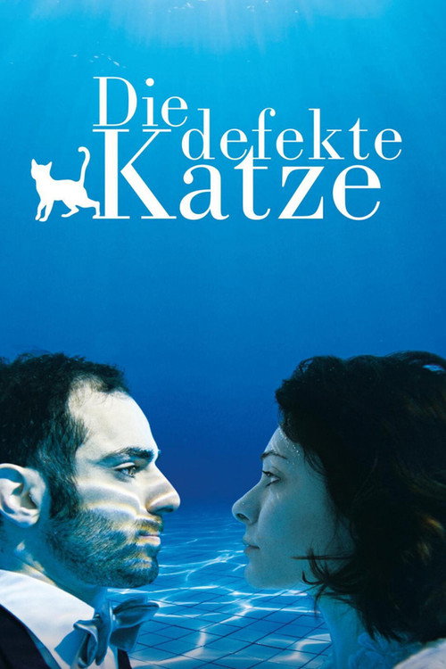 Poster von Die defekte Katze