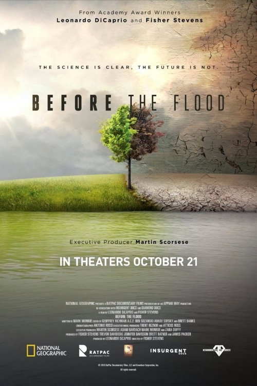 Poster von Before the Flood