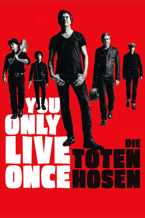 Poster for You Only Live Once: Die Toten Hosen on Tour