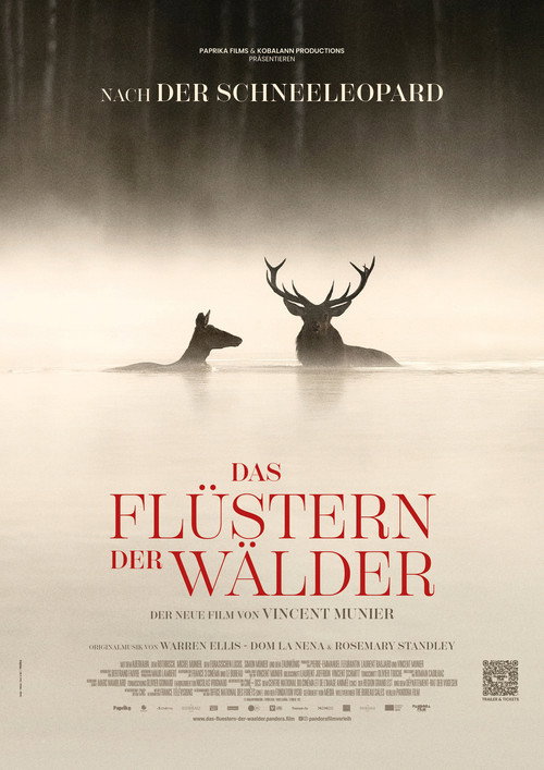 Poster von Das Flüstern der Wälder