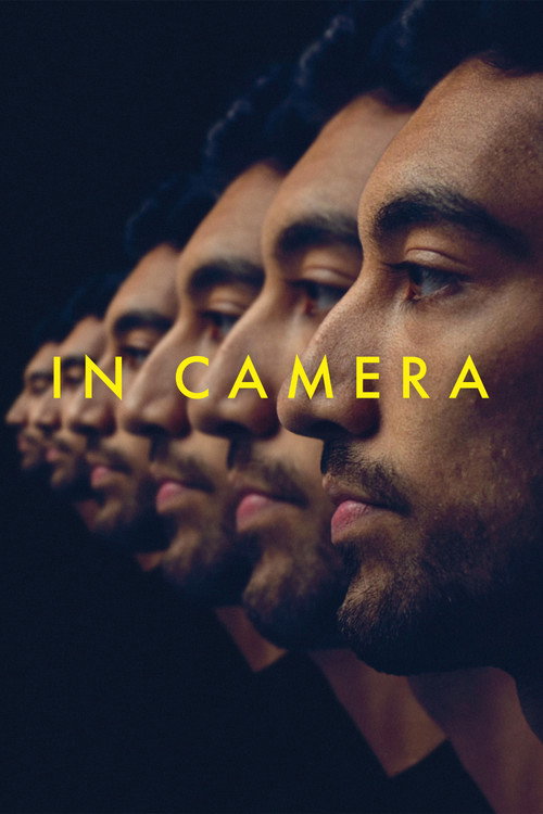 Poster for In Camera