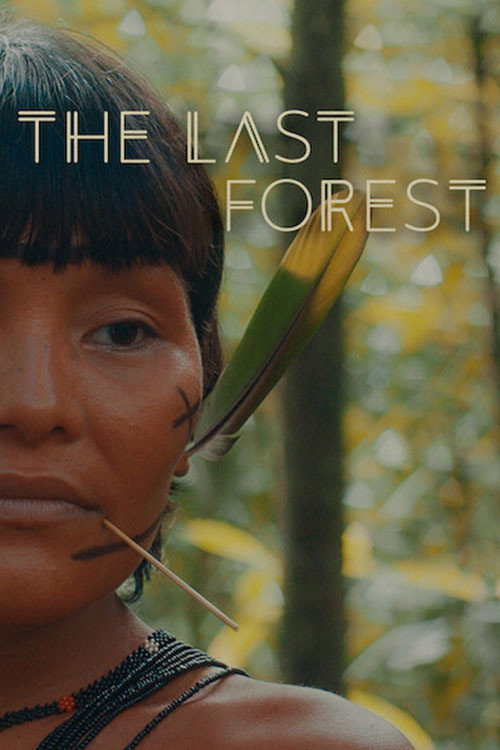 Poster for The Last Forest