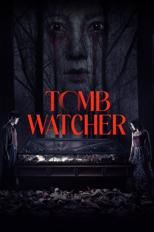 Poster for Tomb Watcher