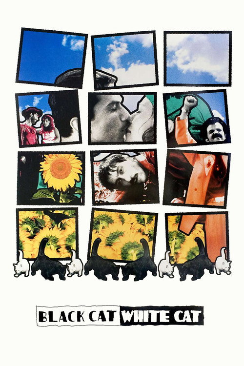 Poster for Black Cat, White Cat