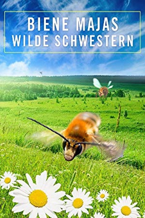 Poster von Wildbienen und Schmetterlinge