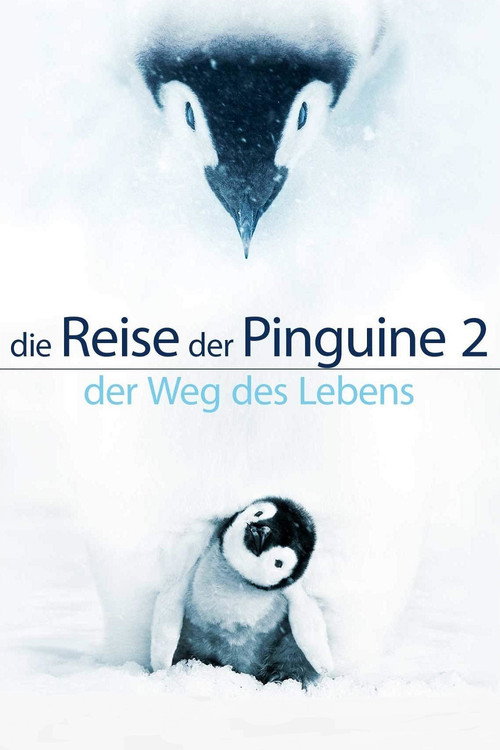 Poster von Die Reise der Pinguine 2: Der Weg des Lebens