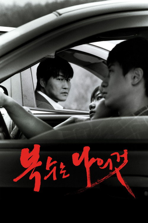 Poster von Sympathy for Mr. Vengeance