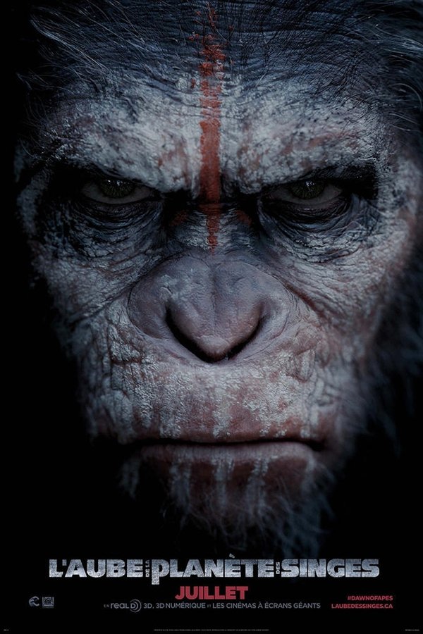 La Planète des singes : L’Affrontement