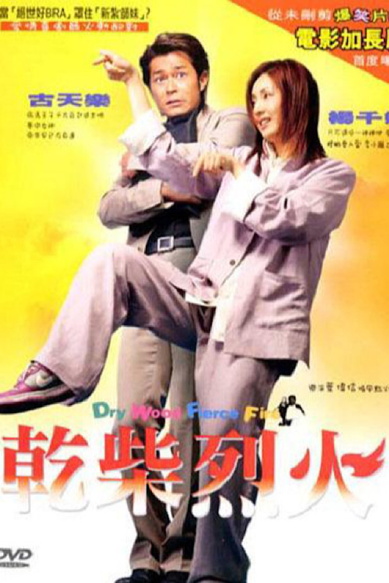 乾柴烈火 (2002) TMDB poster