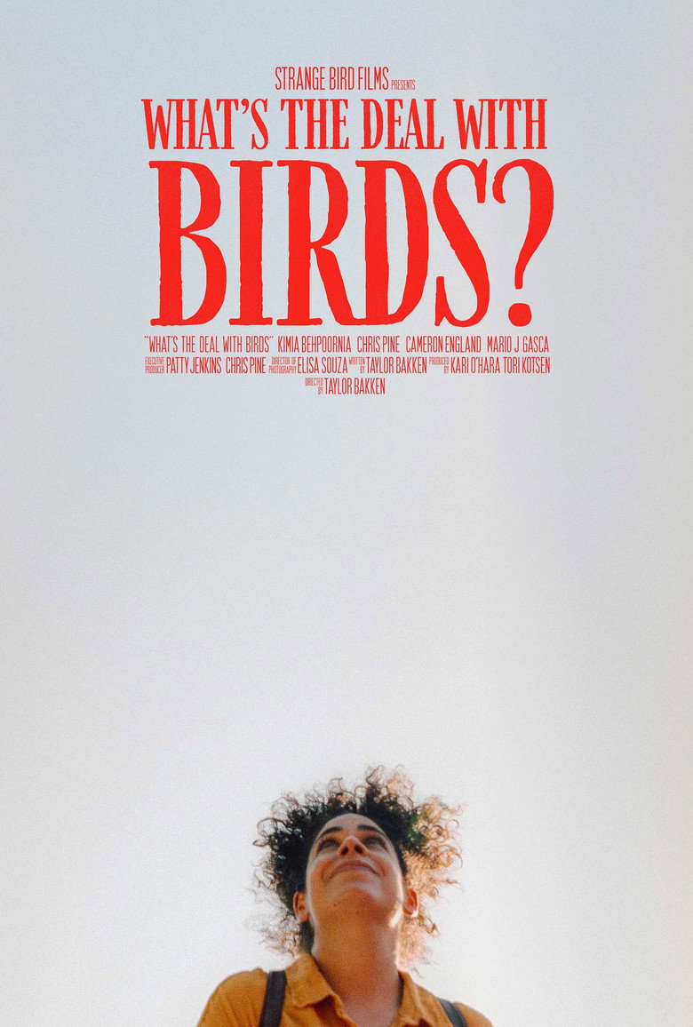 What's The Deal With Birds? (2025) TMDB poster
