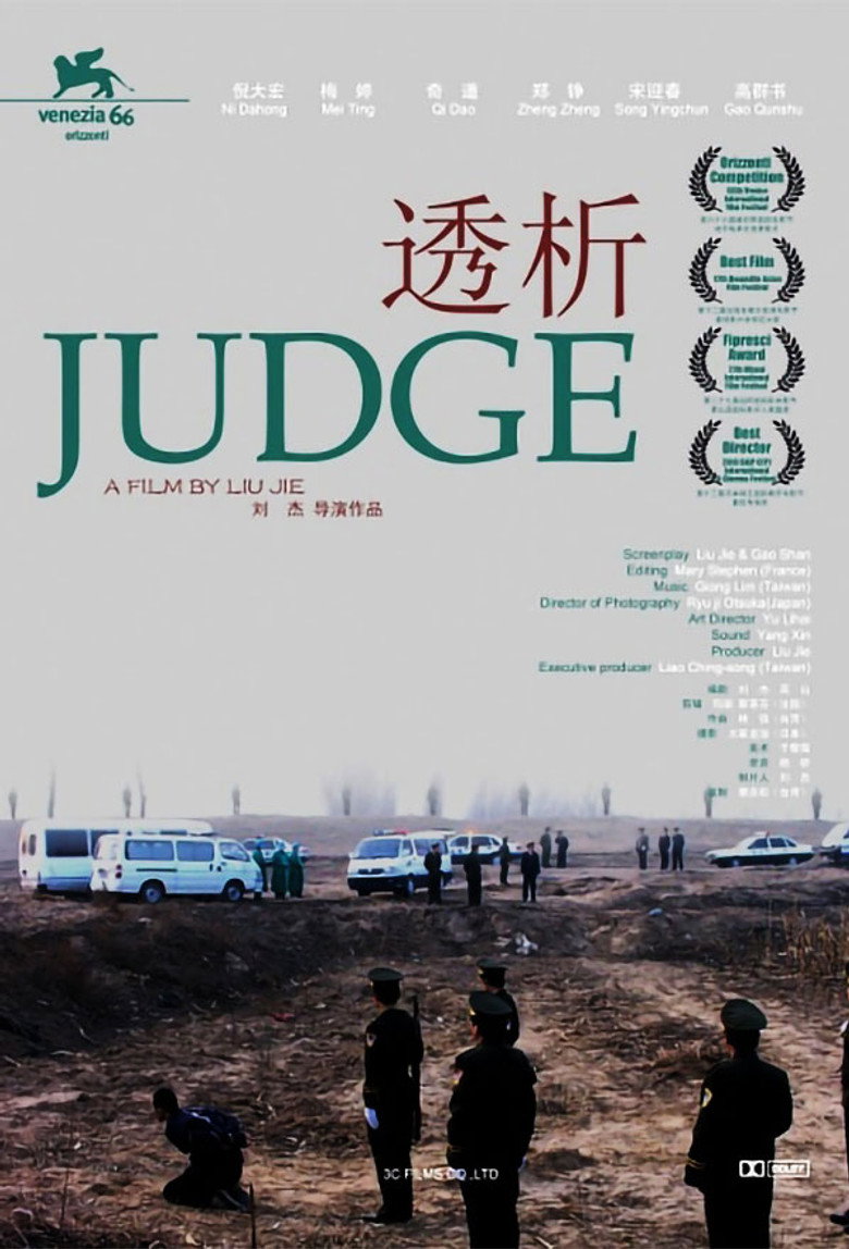 透析 (2010) TMDB poster