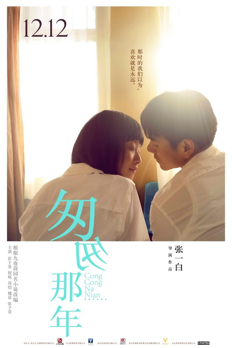匆匆那年 (2014) TMDB poster