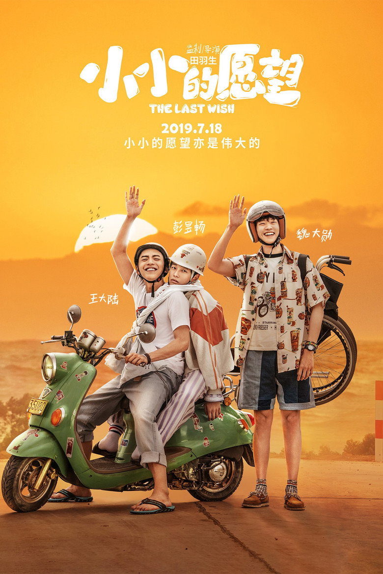 小小的愿望 (2019) TMDB poster