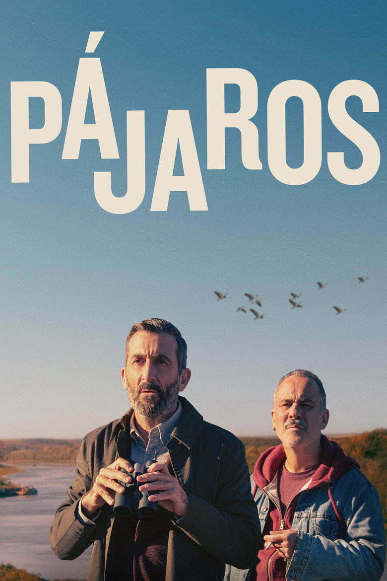Pájaros (2024) TMDB poster
