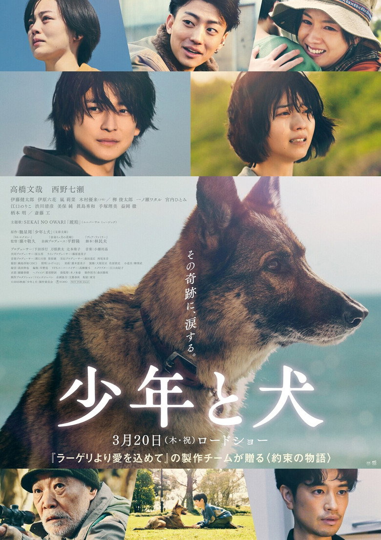 少年と犬 (2025) TMDB poster