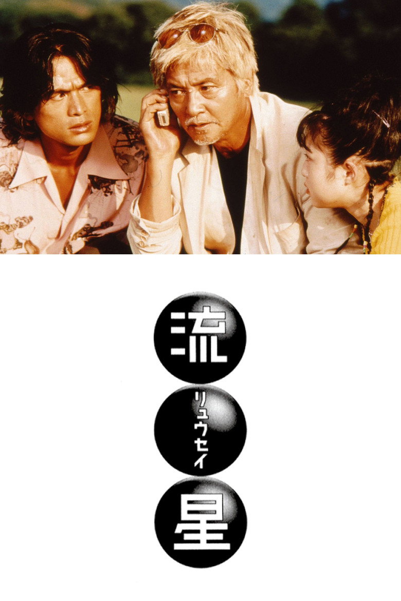 流★星 (1999) TMDB poster