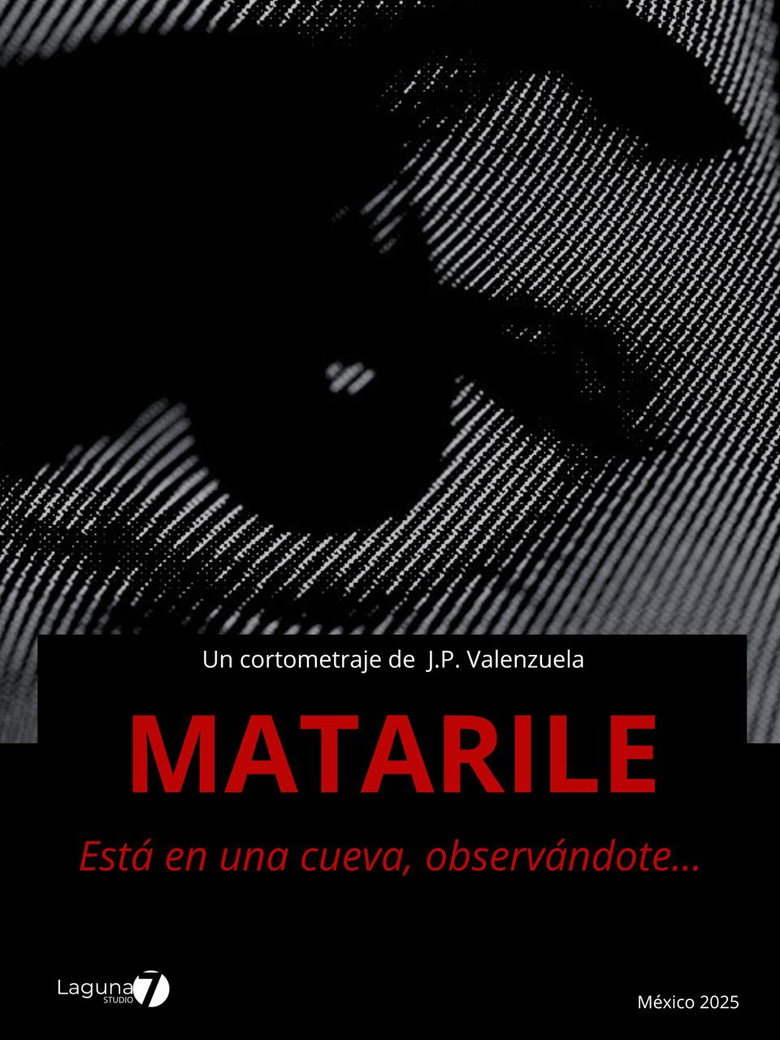Matarile (2025) TMDB poster