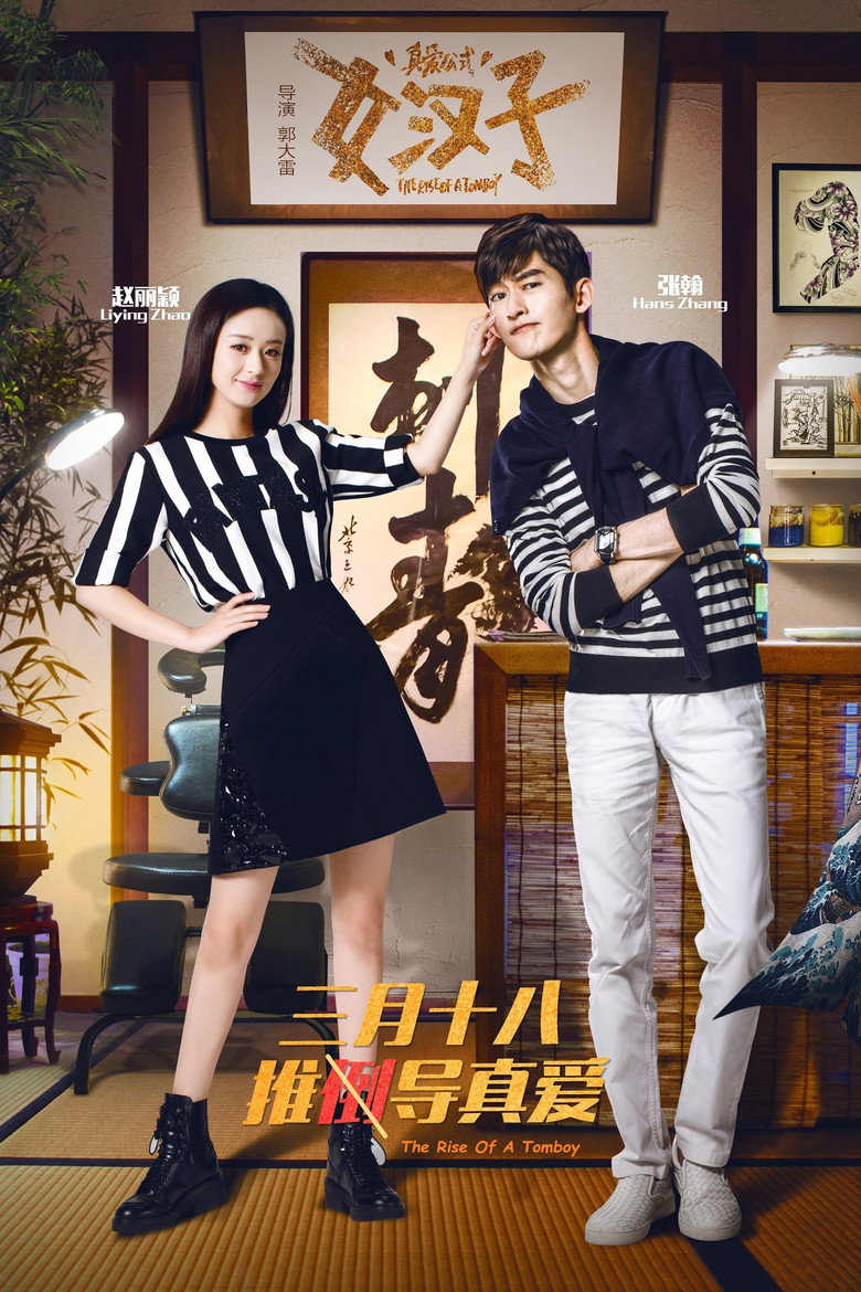 女汉子真爱公式 (2016) TMDB poster