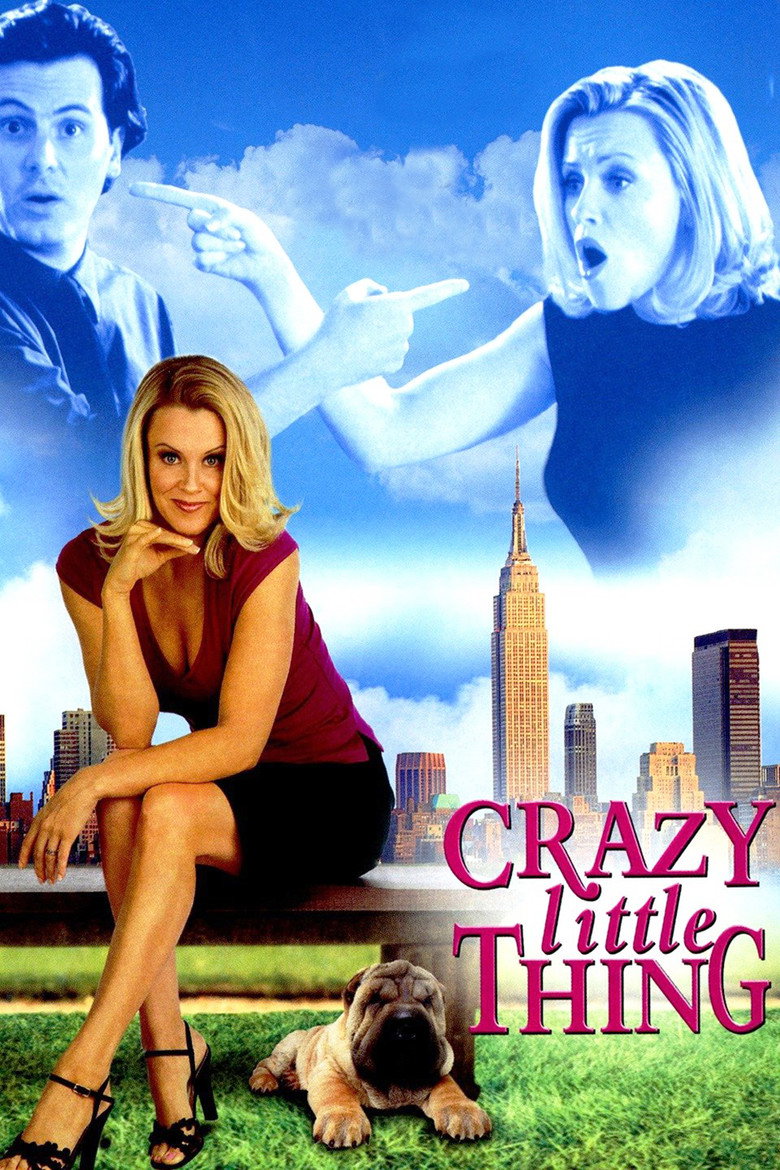 The Perfect You (2002) TMDB poster