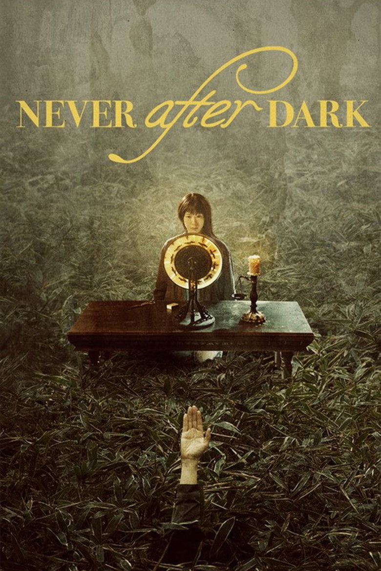 Never After Dark (2026) TMDB poster