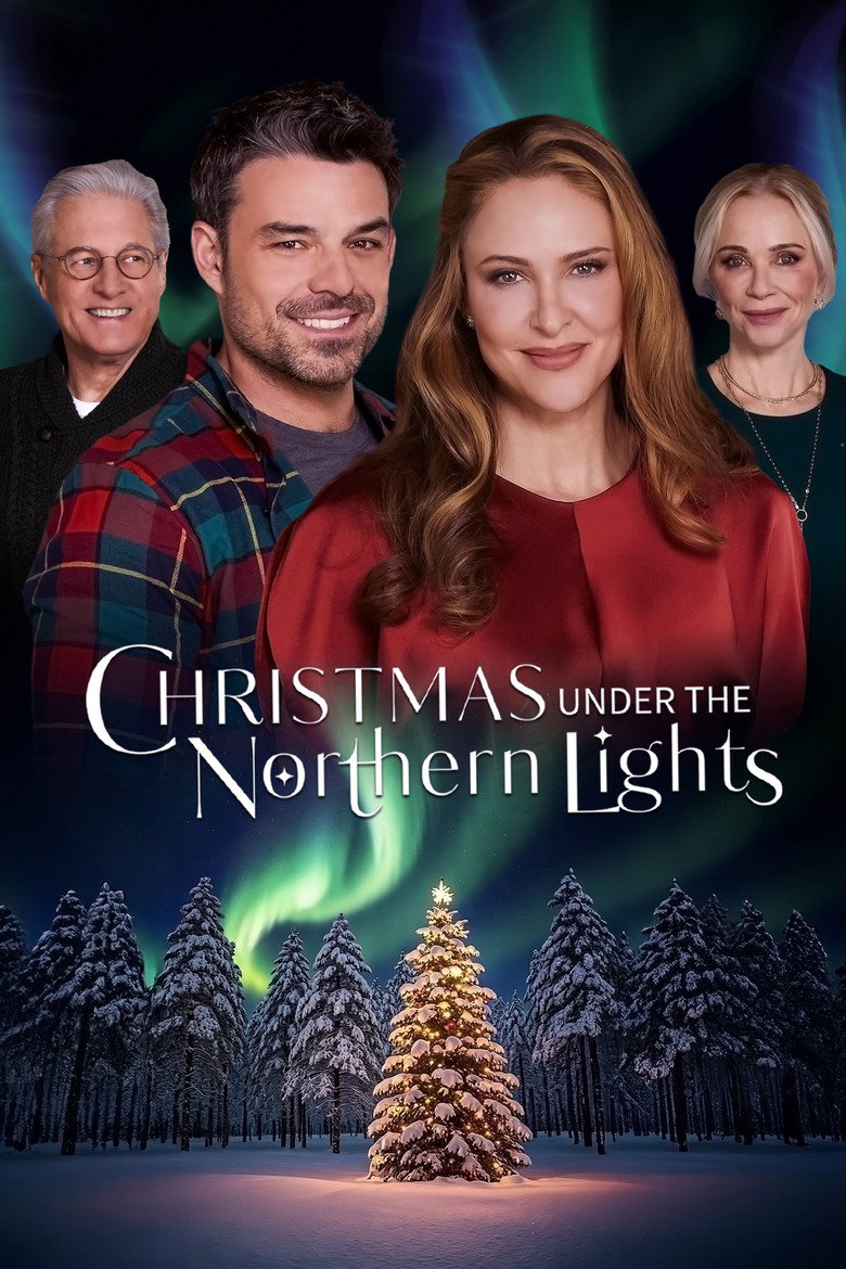 Christmas Under the Northern Lights (2024) TMDB poster