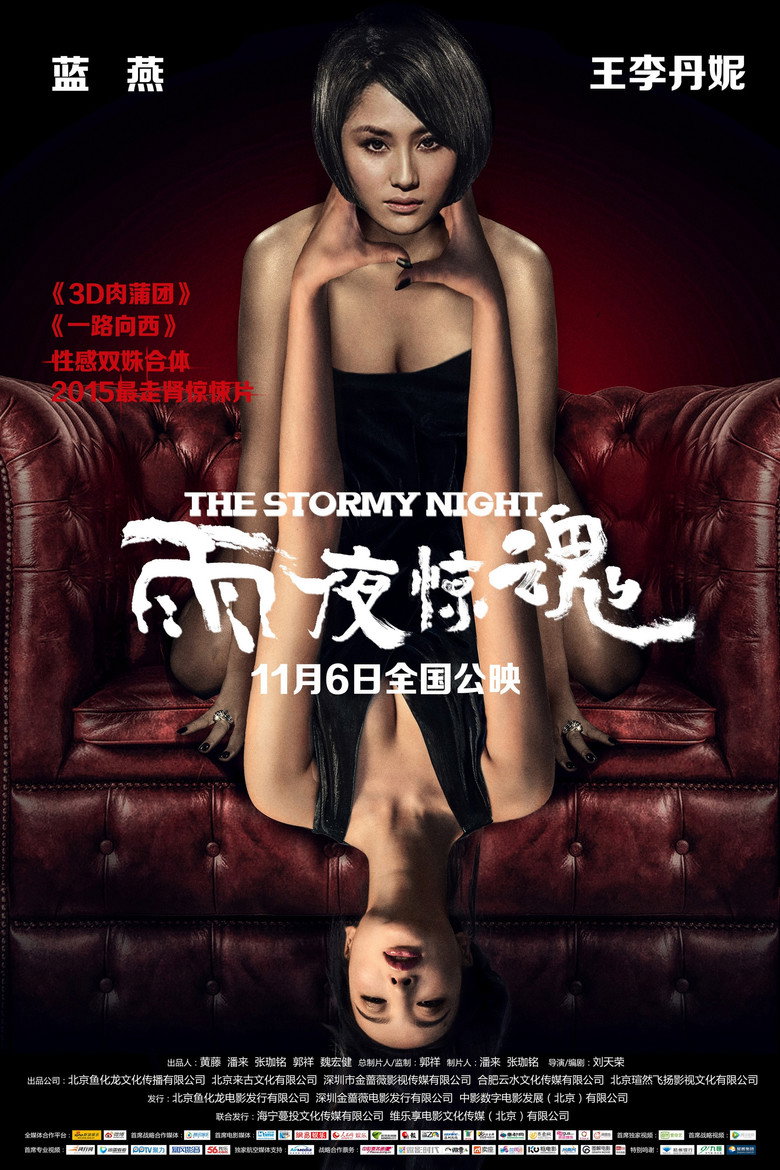 雨夜惊魂 (2015) TMDB poster