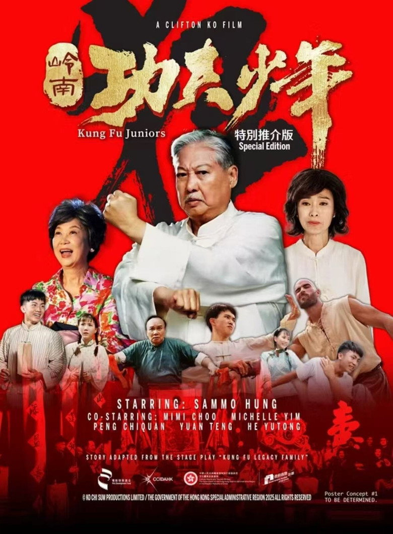 Kung Fu Juniors (2026) TMDB poster