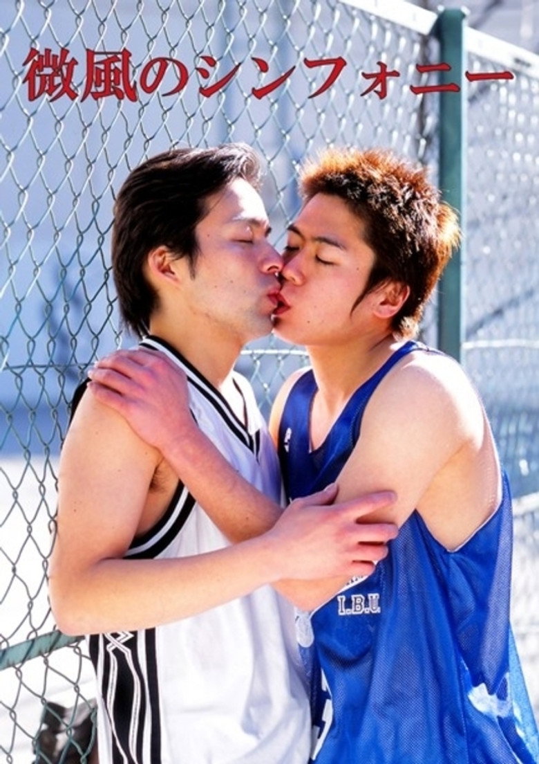 微風のシンフォニー (2001) TMDB poster