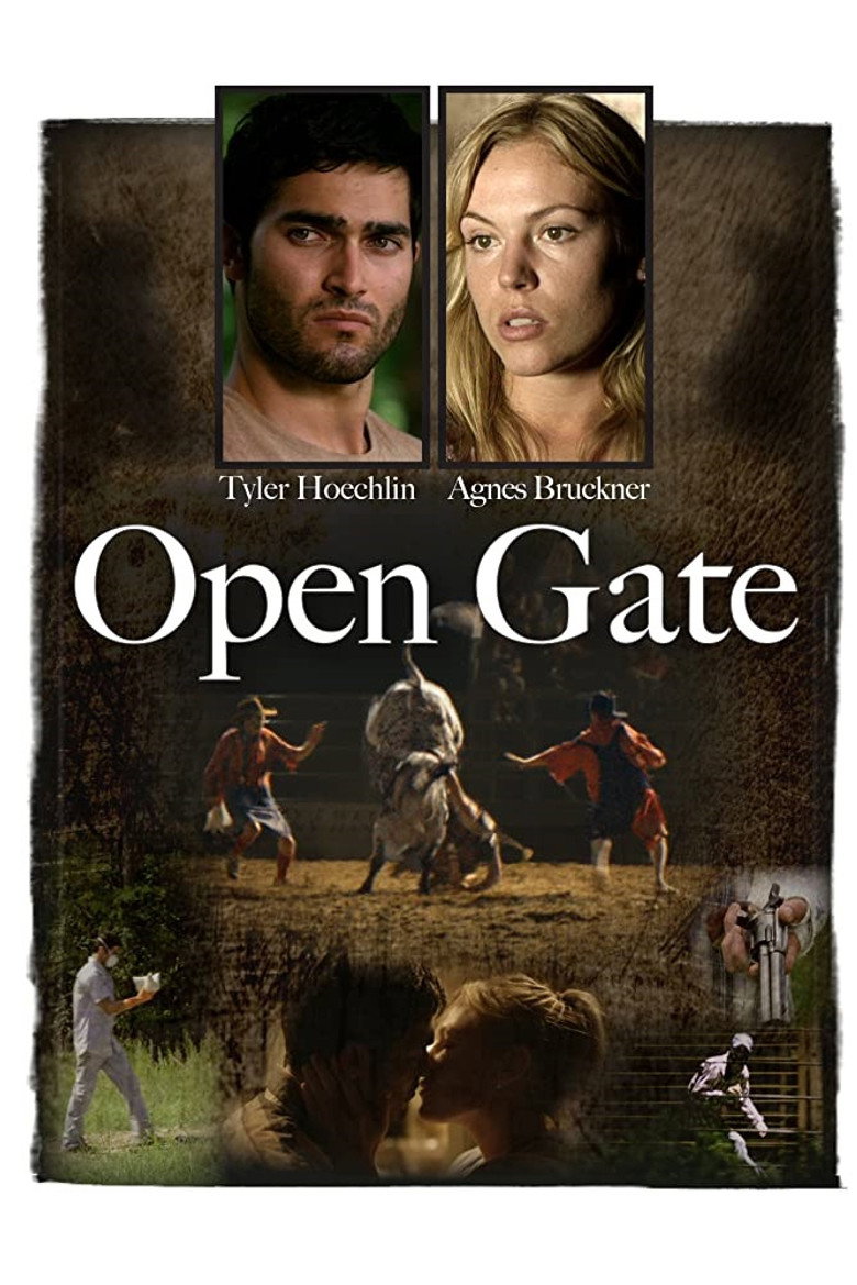 Open Gate (2011) TMDB poster