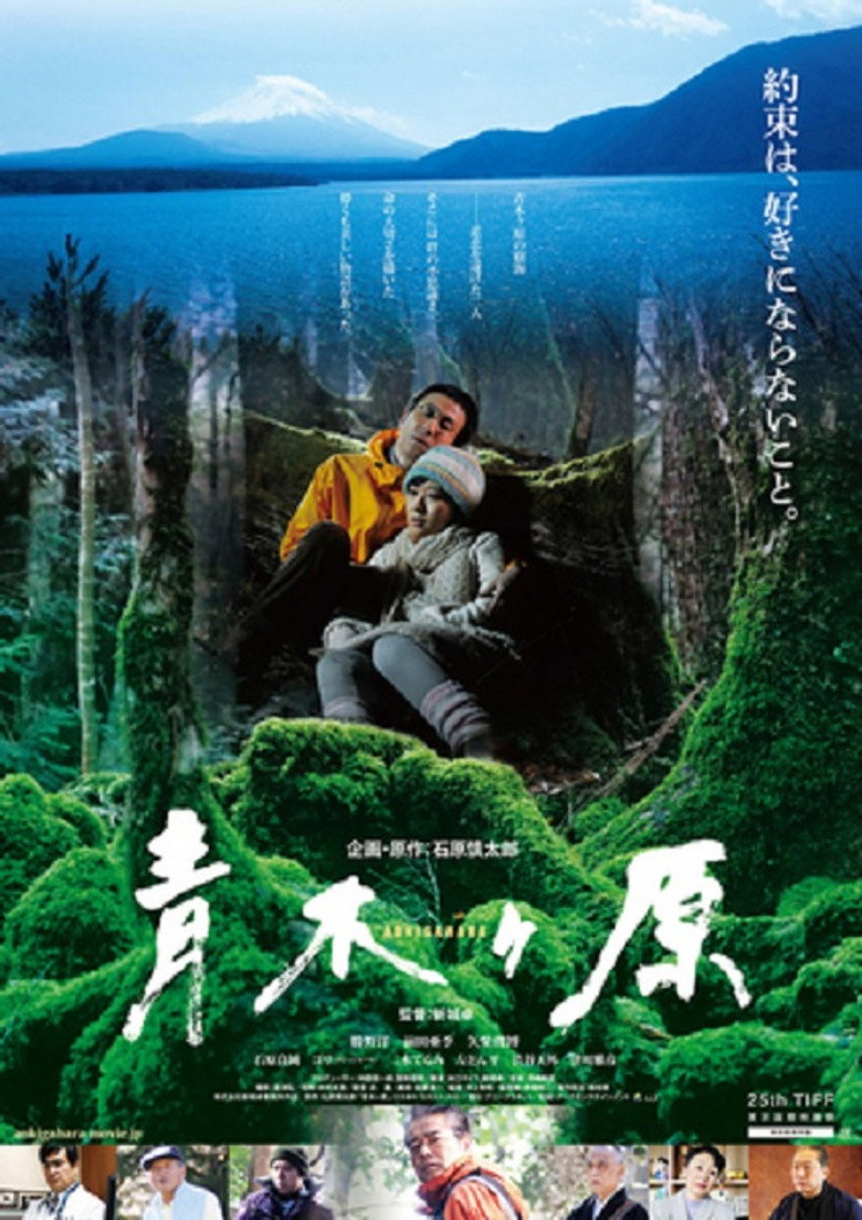 青木ヶ原 (2013) TMDB poster