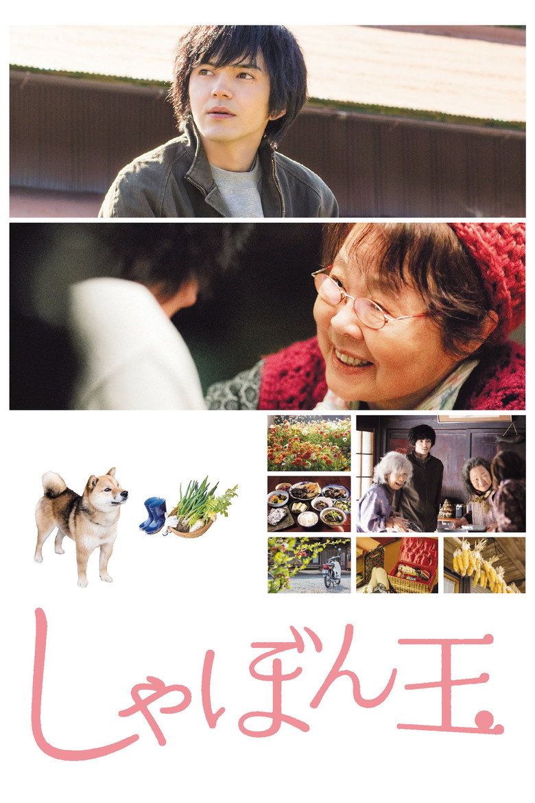 しゃぼん玉 (2017) TMDB poster