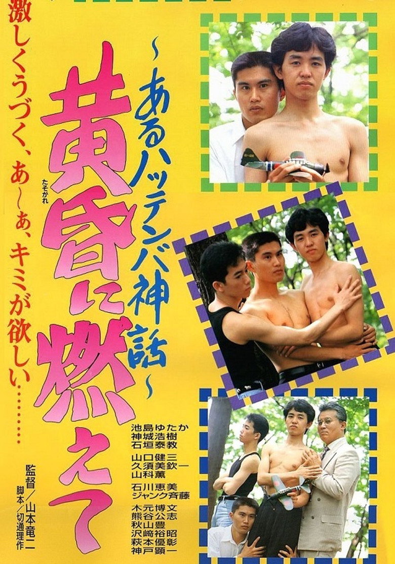 黄昏に燃えて あるハッテンバ神話 (1994) TMDB poster