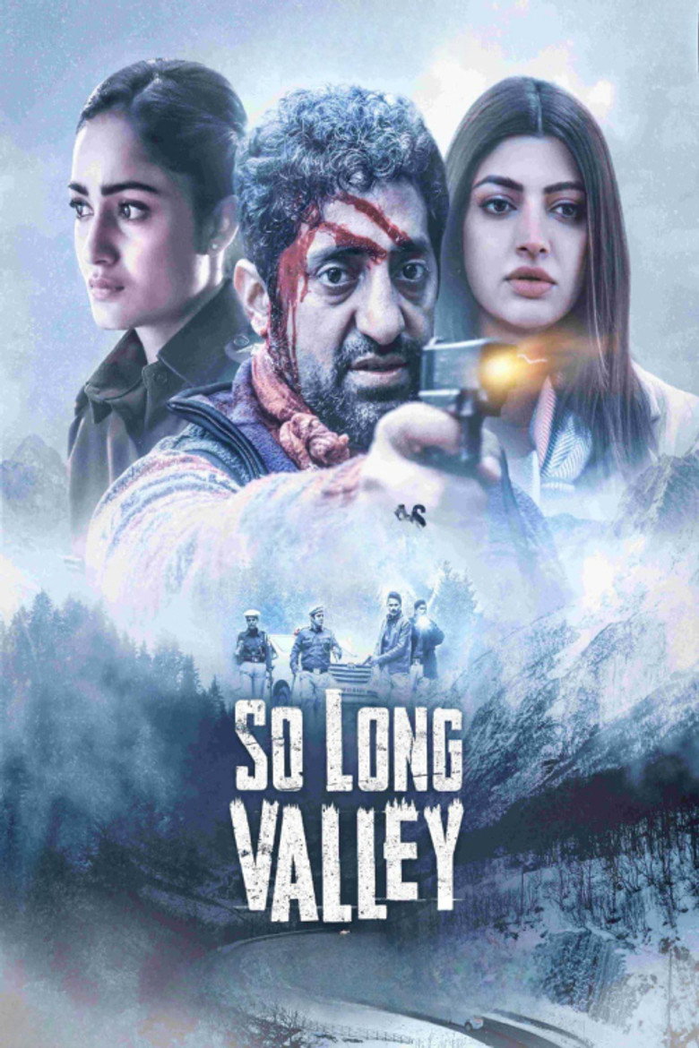 So Long Valley (2025) TMDB poster