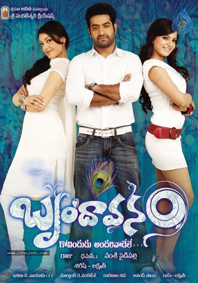 బృందావనం (2010) TMDB poster