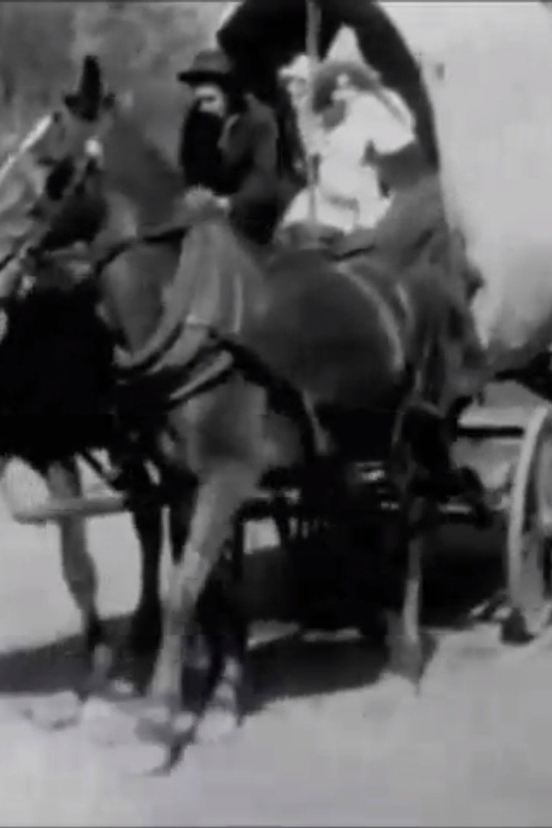 The Zulu's Heart (1908) TMDB poster