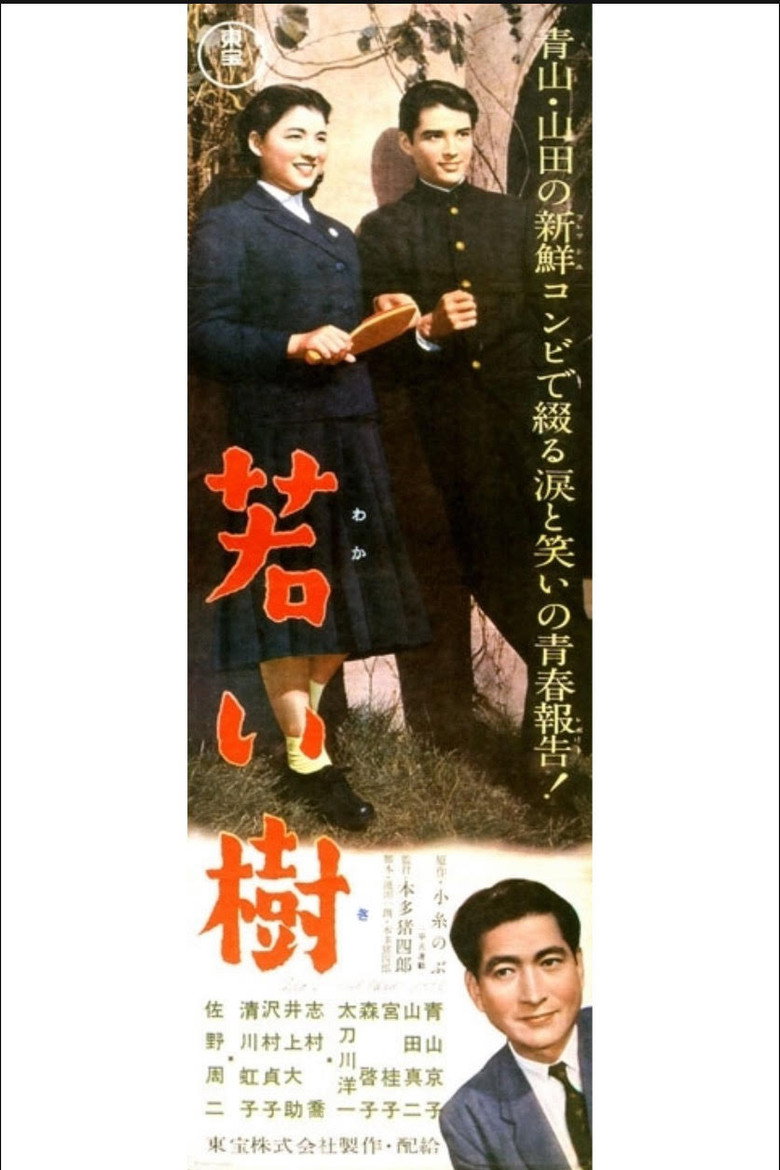 若い樹 (1956) TMDB poster