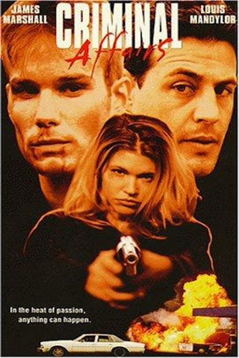 Criminal Affairs (1998) TMDB poster
