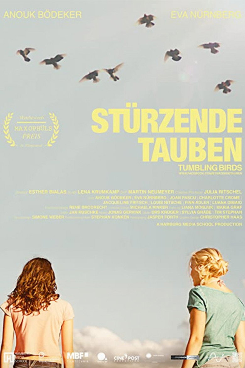 Stürzende Tauben (2013) TMDB poster