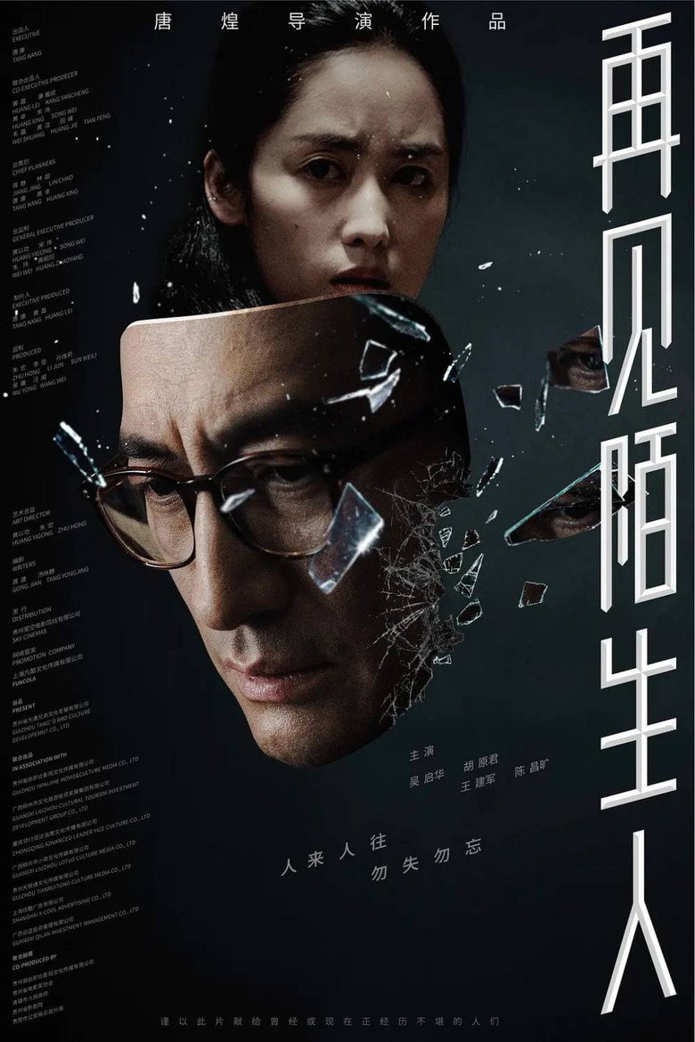 再见，陌生人 (2020) TMDB poster