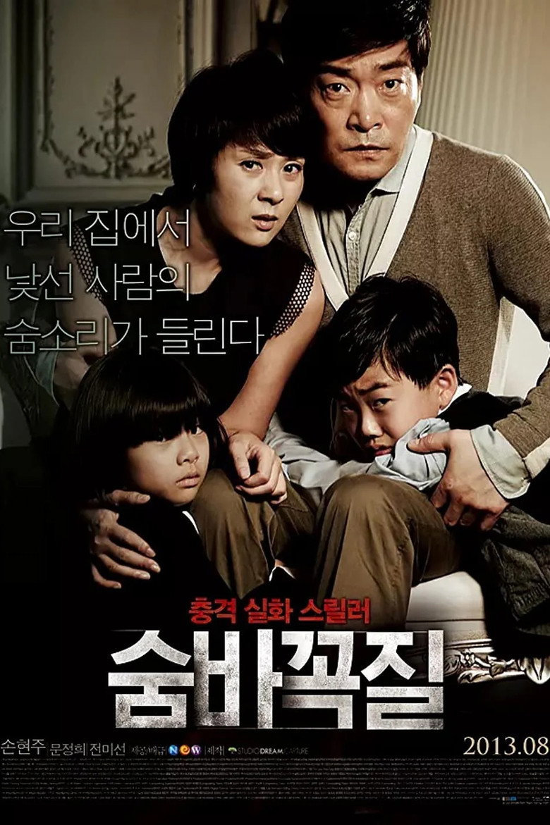 숨바꼭질 (2013) TMDB poster