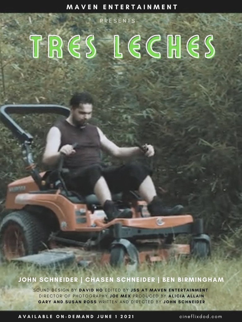 Tres Leches (2017) TMDB poster