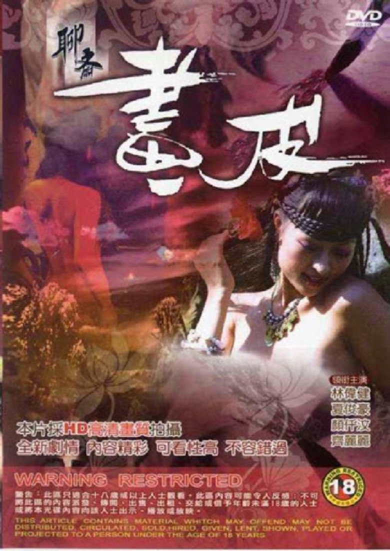 聊齋 畫皮 (2009) TMDB poster