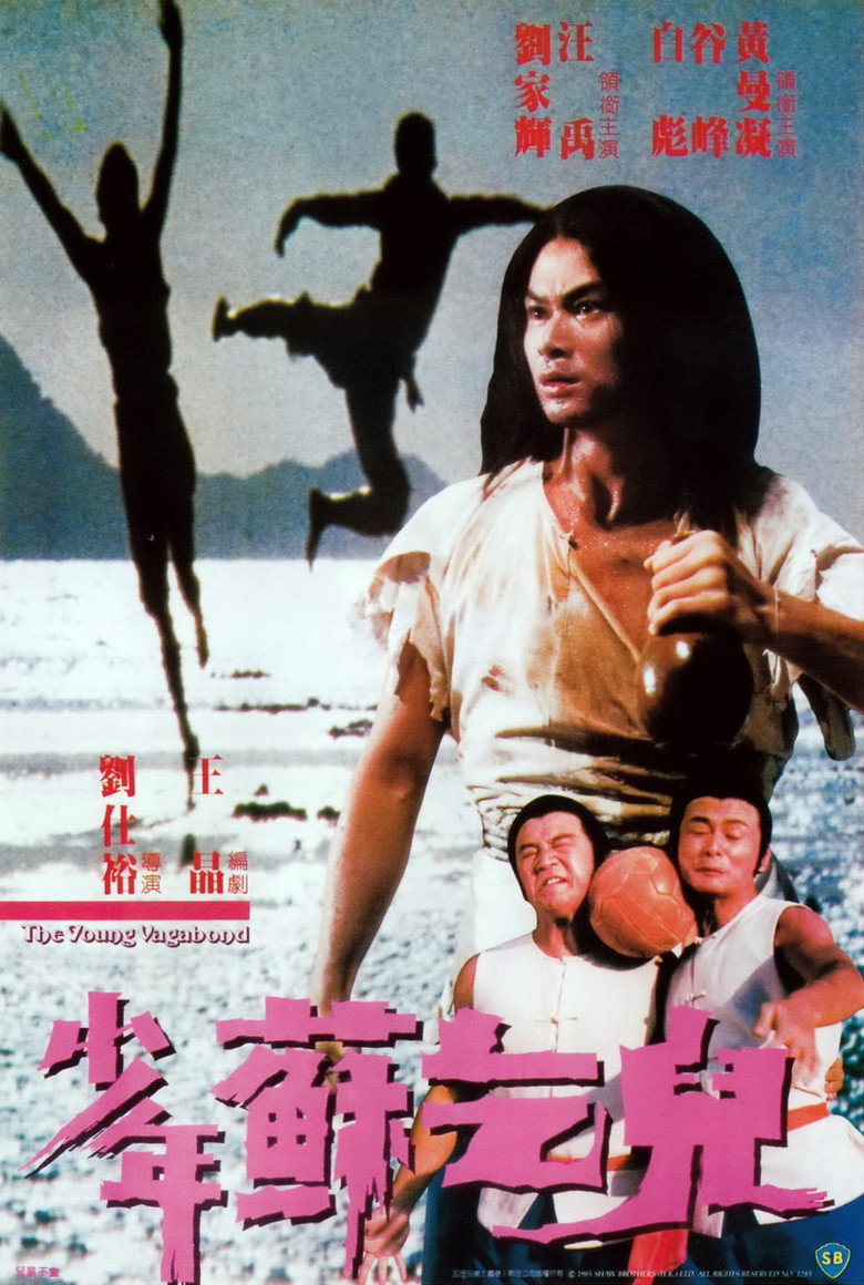 少年蘇乞兒 (1985) TMDB poster