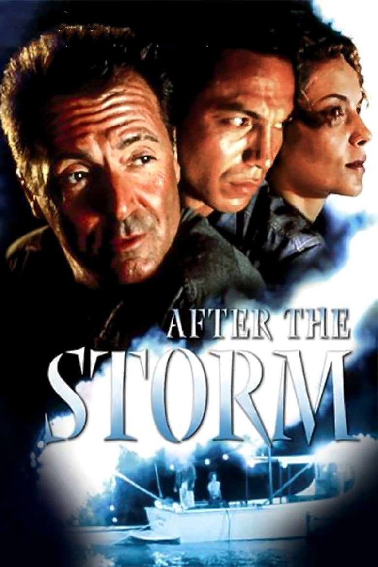 Після шторму / After the Storm (2001) TMDB poster