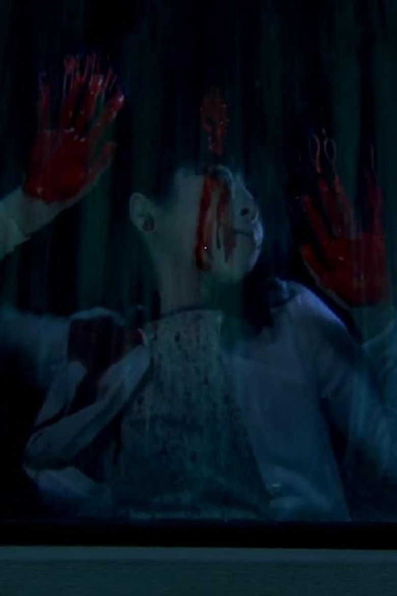 毛骨悚然撞鬼经 2010夏季特别篇 (2010) TMDB poster